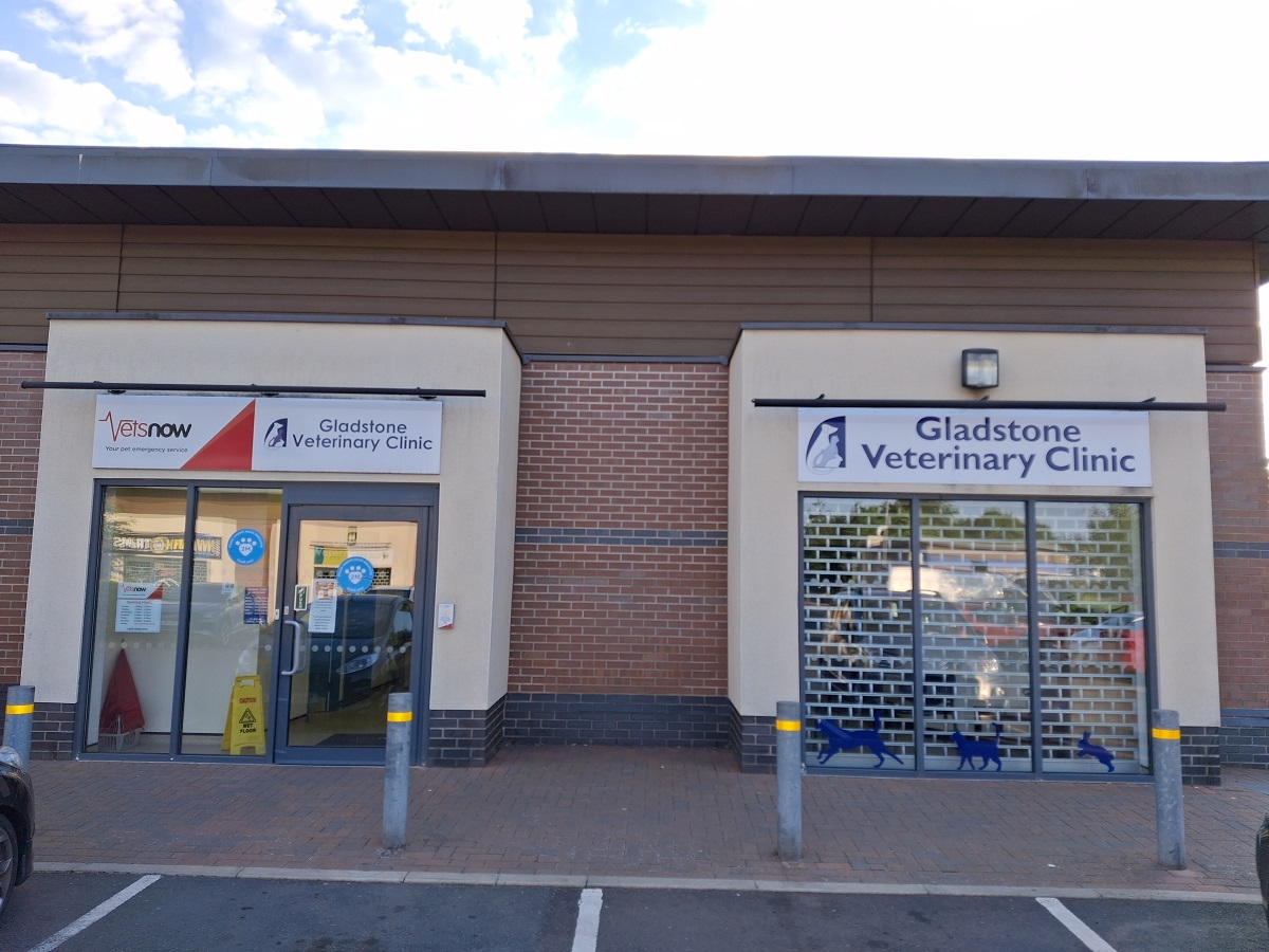 Exterior of Gladstone Veterinary Clinic in Telford showing the main entrance with Vets Now signage and a secondary window display.