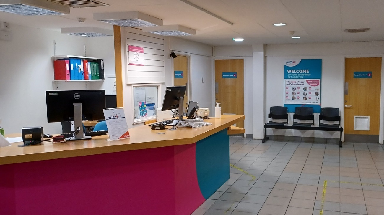 Emergency Vet Near You in Edinburgh Out of Hours Pet Care