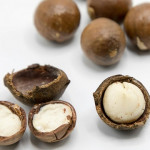 macadamia_nuts_thumb Macadamia nuts sit on a white surface, some with hard shells cracked open revealing the creamy white nuts inside, surrounded by a few whole, unopened nuts.