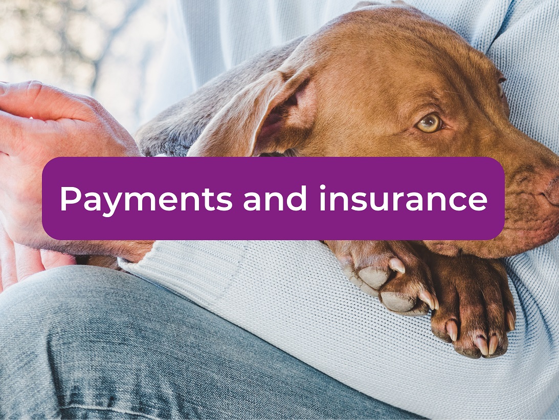 Payment and insurance