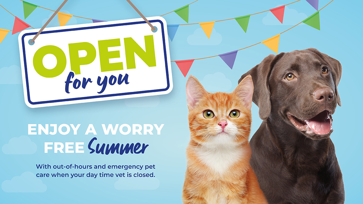 Emergency Pet Care Our Dog Ate a Chicken Skewer Vets Now