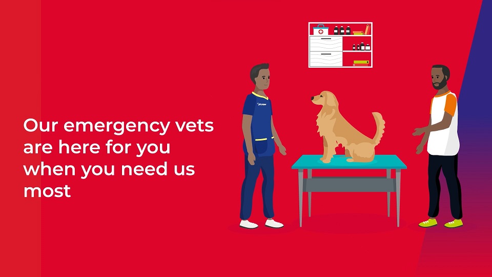 A graphic of an emergency vet at Vets Now in a blue uniform attending to a Golden Retriever on a veterinary table, with a pet owner standing nearby. Text reads, 