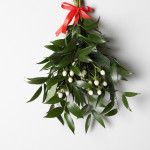 A bunch of fresh mistletoe with green leaves and white berries, tied with a red ribbon and hung against a white wall.