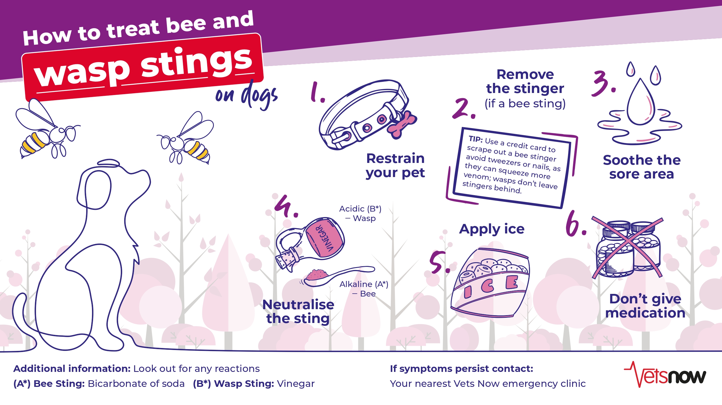 vets-now-bee-wasp-stings-infographic_2025 An infographic containing advice on how to handle bee or wasps on a dog