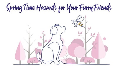 Minimalistic spring-themed image with a dog outline and bees,