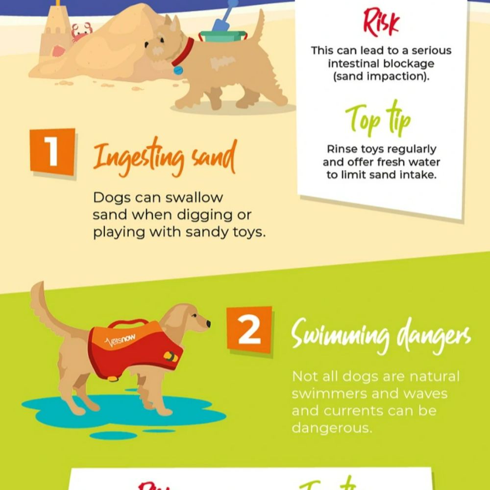 beach_hazards_preview