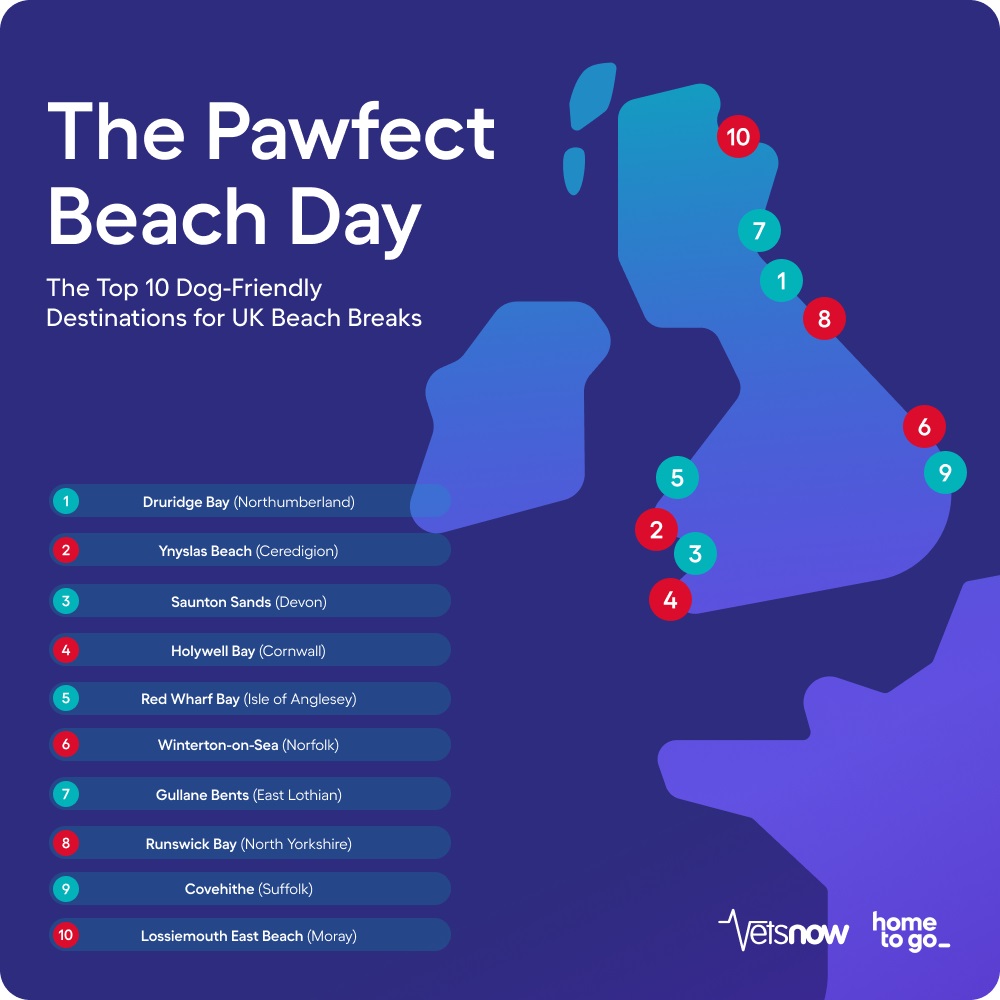 pawfect_beach_day_map