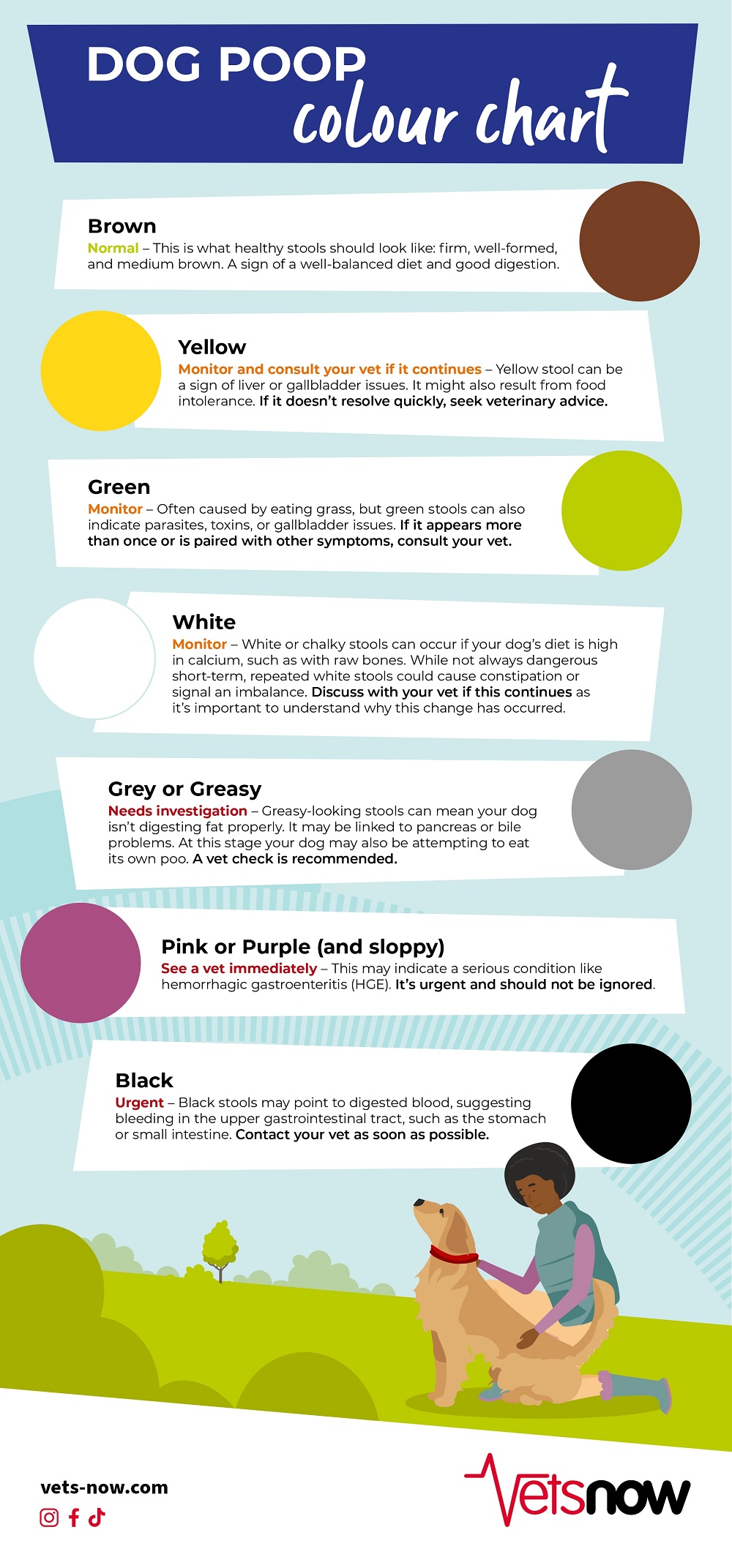 Dog-Poop-Colour-Infographic_2025