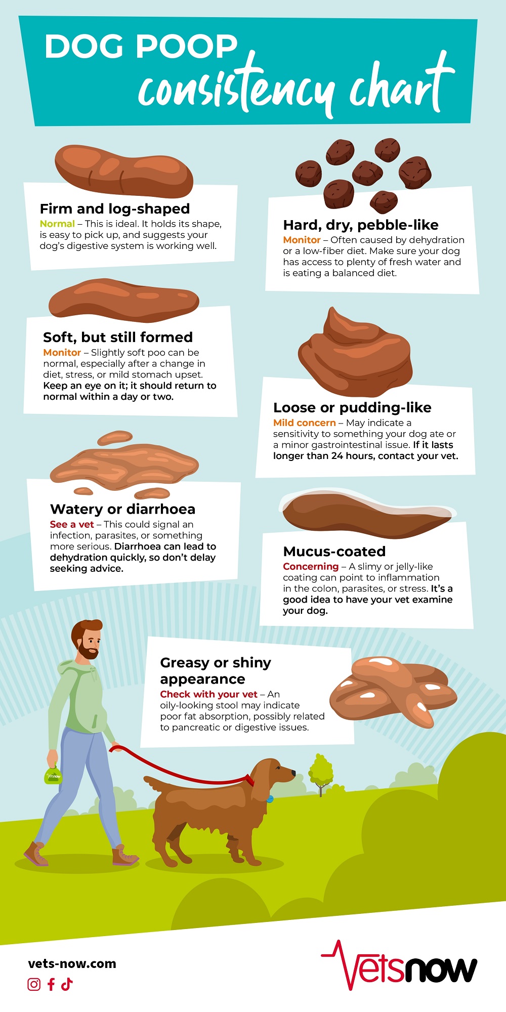 Dog-Poop-Consistency-Infographic_2025