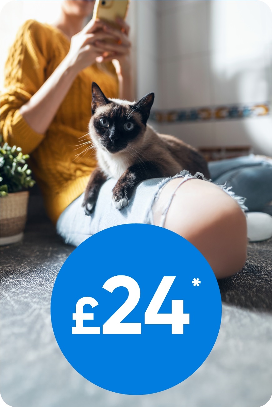 Vets-Now-PawSquad-Price-Roundel An image of a cat sitting on it's owner lap with a roundel depicting the £24 fee for using Vets Now's Pawsquad service