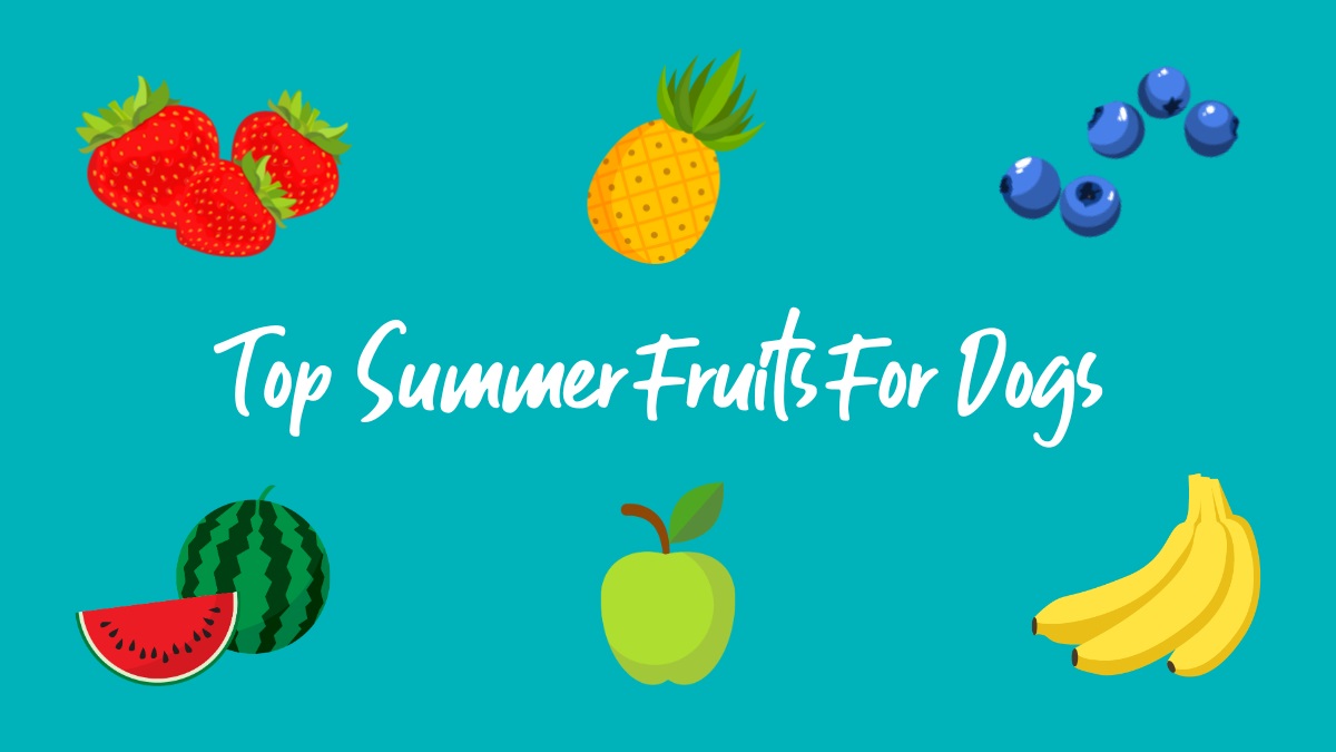 top-summer-fruits-for-dogs Illustration of dog-safe summer fruits including strawberries, pineapple, blueberries, watermelon, green apple, and bananas with the text
