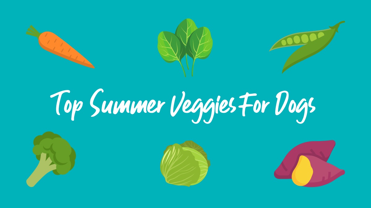 top-summer-veggies-for-dogs Illustration of dog-safe summer vegetables including carrot, spinach, peas, broccoli, cabbage, and sweet potato with the text