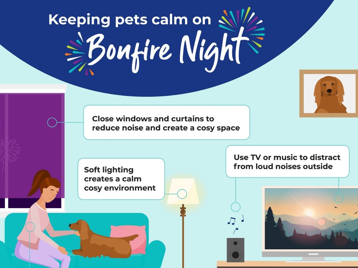 bonfire-night-pet-calming-tips-infographic Illustrated infographic showing tips to keep pets calm on Bonfire Night, including closing windows, using soft lighting, and playing music or TV.