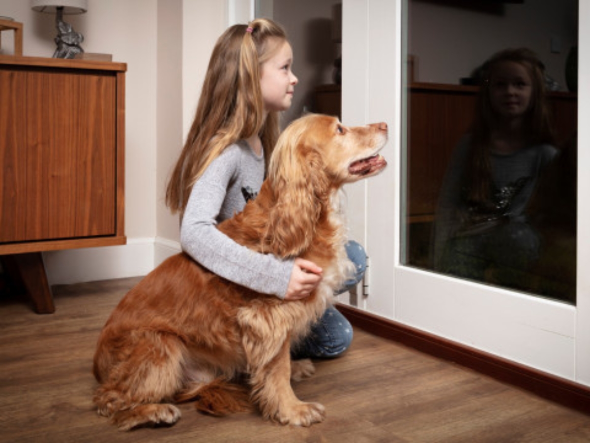 girl-comforting-dog-fireworks girl-comforting-dog-fireworks