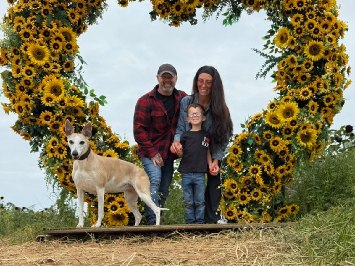 Boo the whippet stands proudly in front of a sunflower heart arch, alongside a smiling family of three enjoying a sunny day.