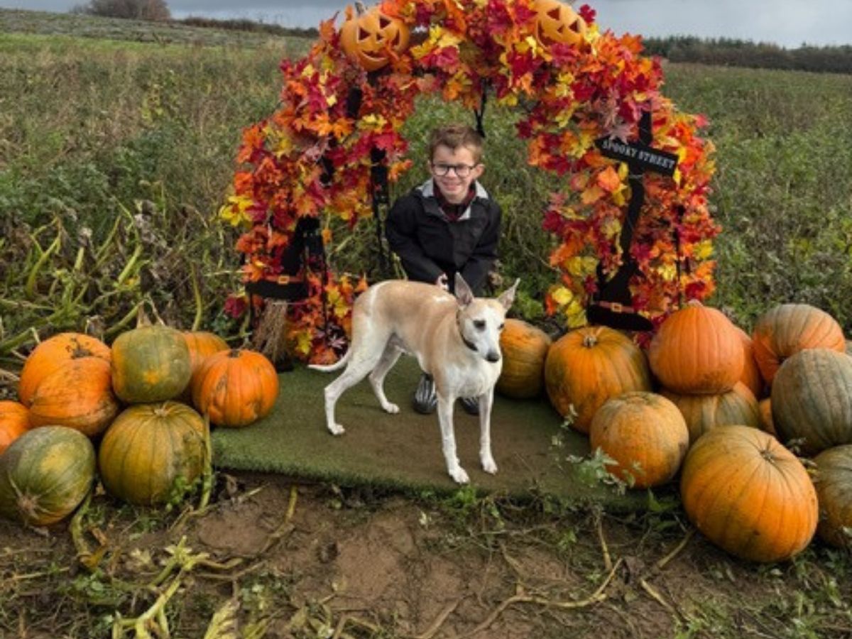 A young boy poses with Boo the whippet under a colourful Halloween arch decorated with pumpkins and autumn leaves.