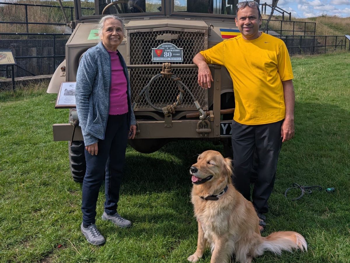 Buzo the golden retriever sitting on some green grass