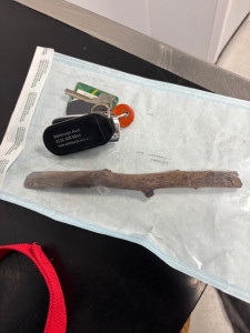 Picture of a stick in comparison to car keys