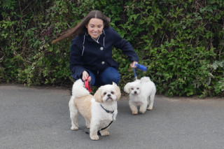vets now fireworks hub dog and owner Image of two small dogs and owner for Vets Now fireworks and pets advice hub
