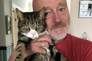 Willow the cat who was diagnosed via Video Vets Now Image of Willow the cat who was diagnosed via Video Vets Now