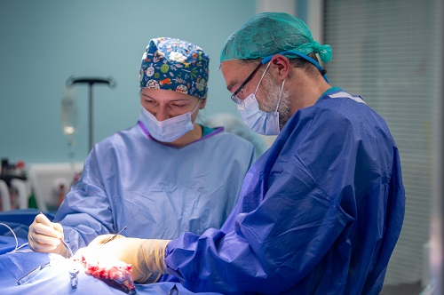 Pet surgery at Vets Now Manchester Hospital Pet surgery at Vets Now Manchester Hospital