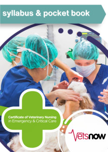 Veterinary professionals and dog. Cert VN logo