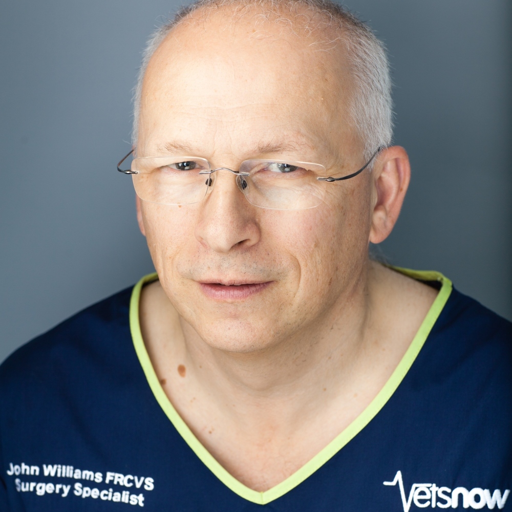 A person with glasses is looking forward, wearing a dark blue shirt with green trim. Text on the shirt reads, John Williams FRCVS Surgery Specialist and Vets Now.