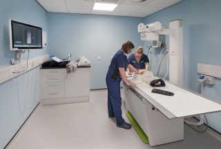 vets-now-manchester-specialist-services Two veterinary nurses examine a small dog on an X-ray table in a modern clinic with blue walls and medical equipment. A monitor displays X-ray images.