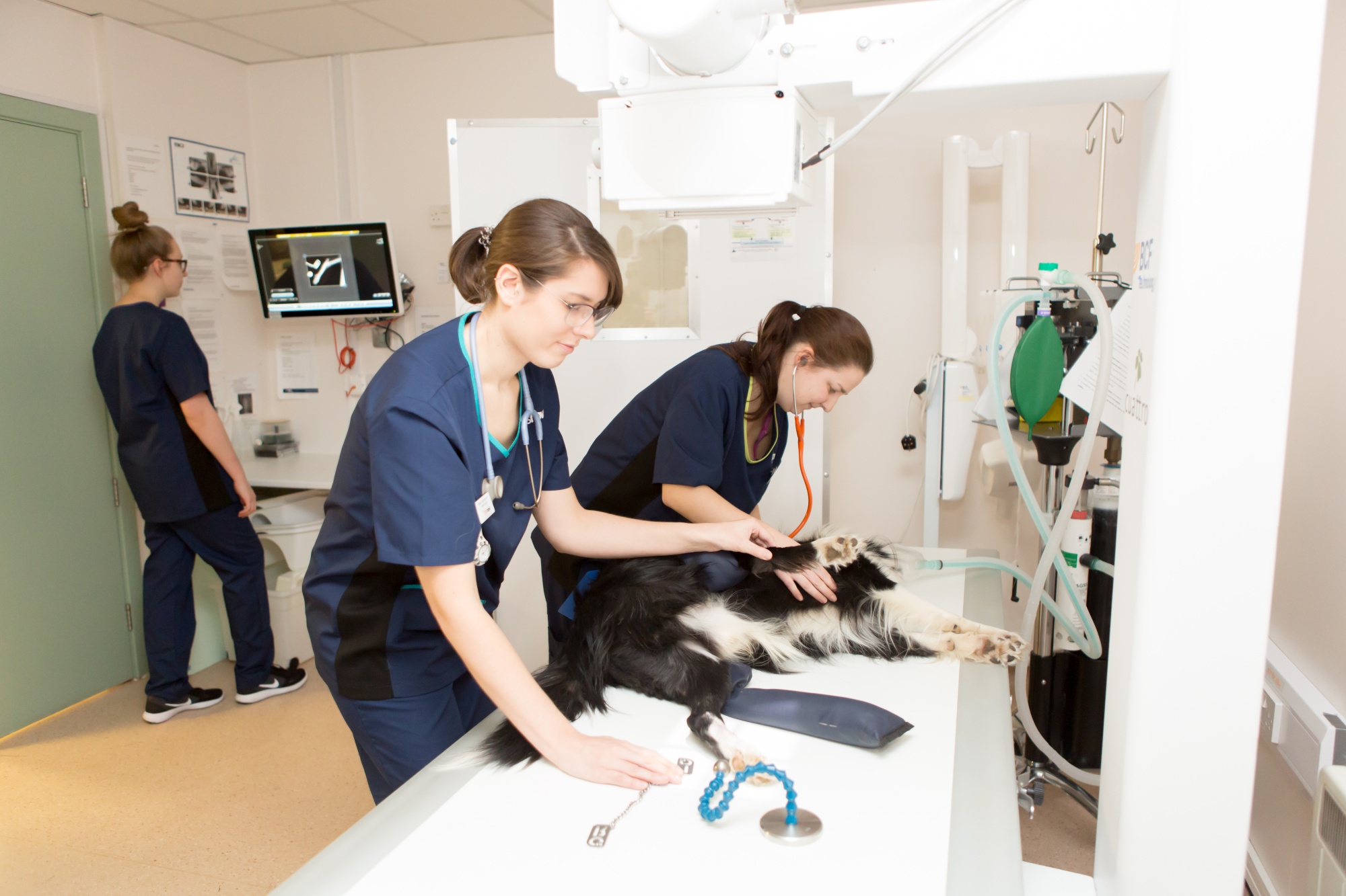 Orthopaedics