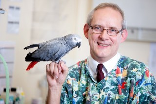 A gray parrot perched on a man's hand, who is smiling and wearing a colorful bird-patterned shirt and glasses, standing indoors with a blurred background.