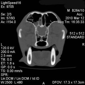 fig2-300x300