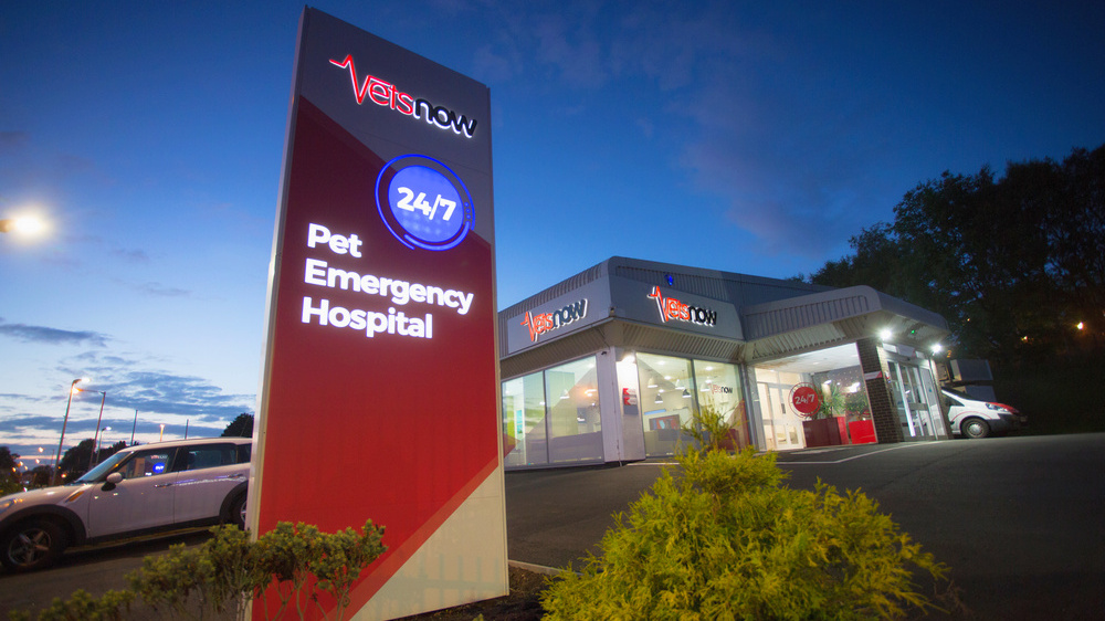 A brightly lit sign displays Vets Now, 24/7 Pet Emergency Hospital near a modern veterinary clinic, with cars parked around, under a twilight sky.