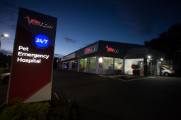 A vet hospital building, illuminated at night, displays signs reading Vets Now 24/7 Pet Emergency Hospital, located in an urban setting with parked cars nearby.