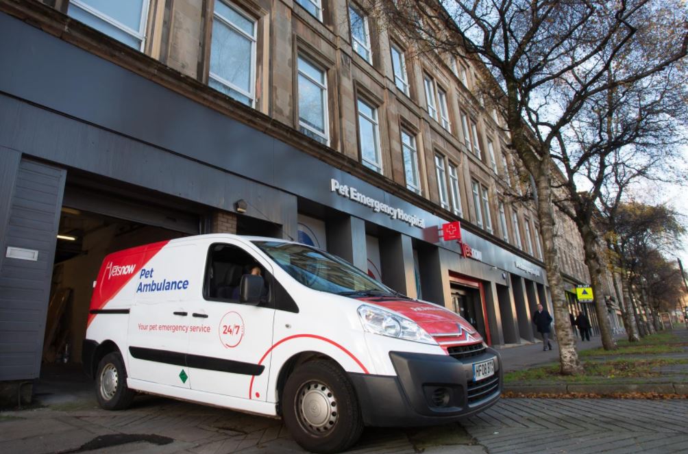 Vets Now Specialist Pet Referral Service Glasgow & Manchester