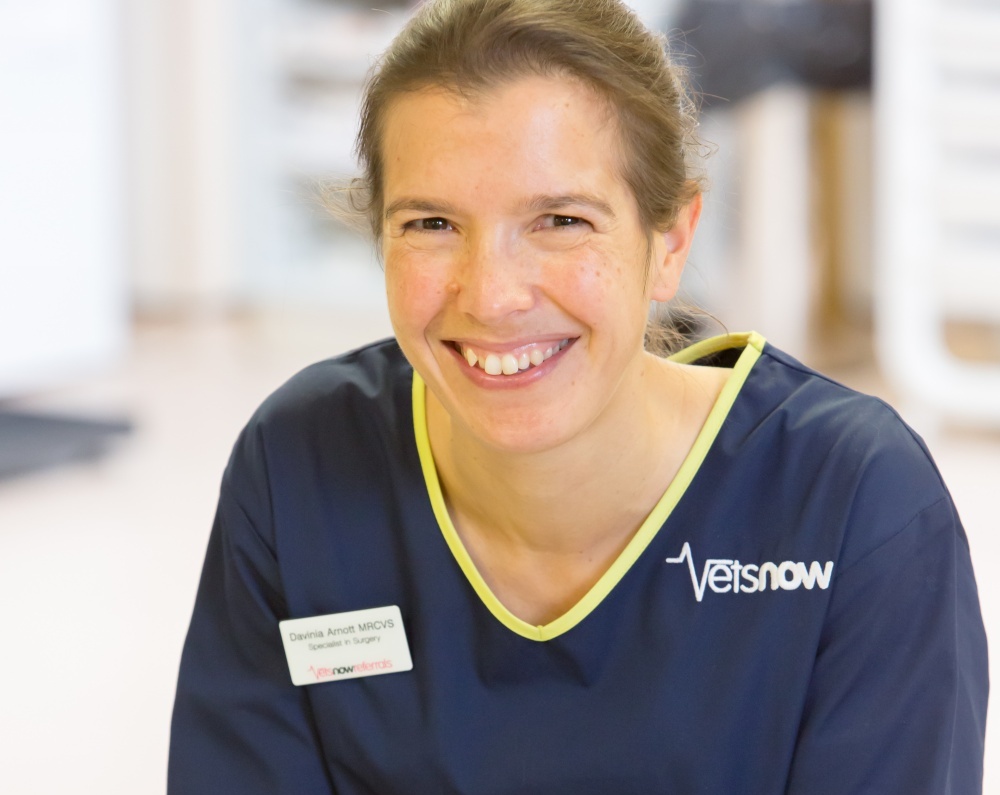 A person smiles, wearing a navy Vets Now uniform in a bright, blurred indoor setting. Name tag reads: Dawnia Arnott MRCVS, Specialist in Surgery, Vets Now Referrals.