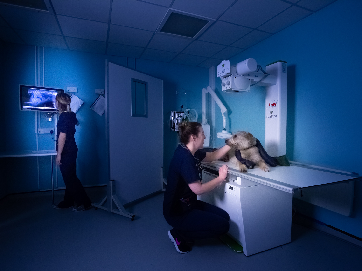 A dog lies on an X-ray table, assisted by a veterinary technician, while another examines the X-ray image on a screen in a dimly lit vet clinic room.