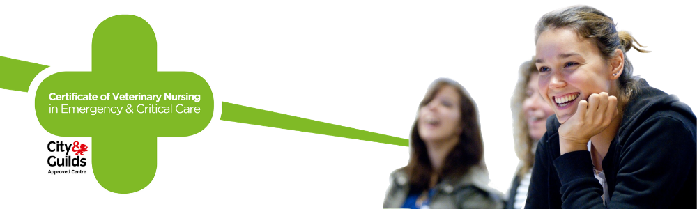 Certificate In Veterinary Nursing In Emergency & Critical Care