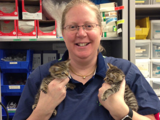 A person holds two small tabby kittens, standing in front of shelves stocked with medical supplies, including boxes labeled Triflex and Insulin Syringe.