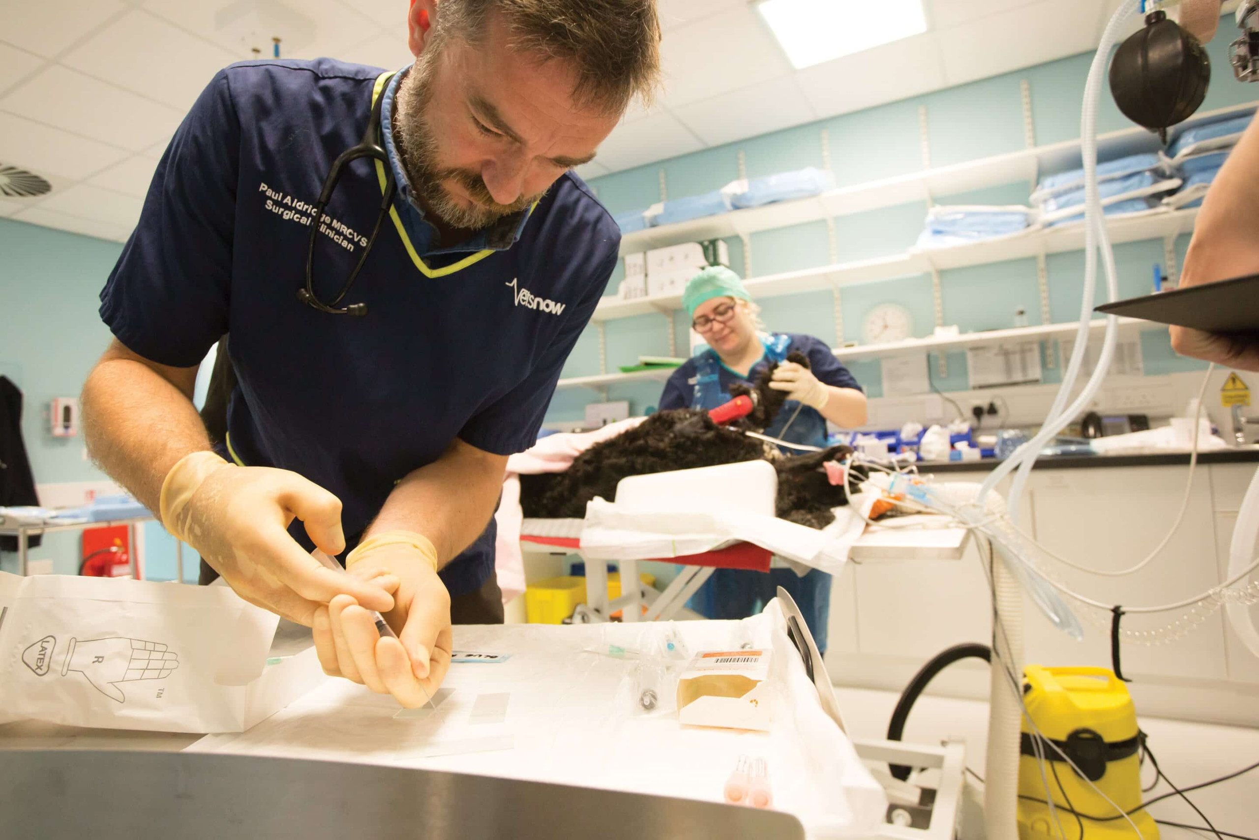 Veterinarian performing a medical procedure on an animal; colleague supervises anesthesia. The setting is a sterile veterinary clinic with medical equipment. Text: Paul Aldridge MRCVS Surgical Clinician and Vets Now.