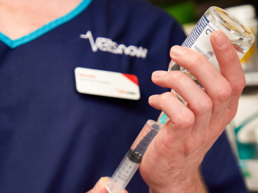 Vet Holding a Syringe A hand holds a vial and syringe, extracting liquid. The person wears a navy blue uniform with text Vets Now. A name badge reads Alistair Senior Vet Surgeon. Background is blurred.