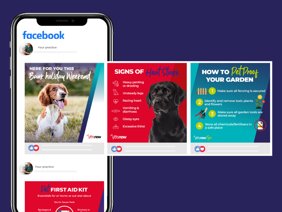 PP-hub-Social-Media-Assets