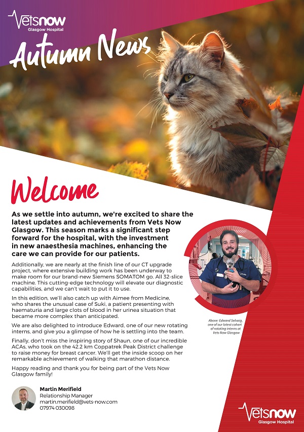 vets now glasgow summer 2024 newsletter