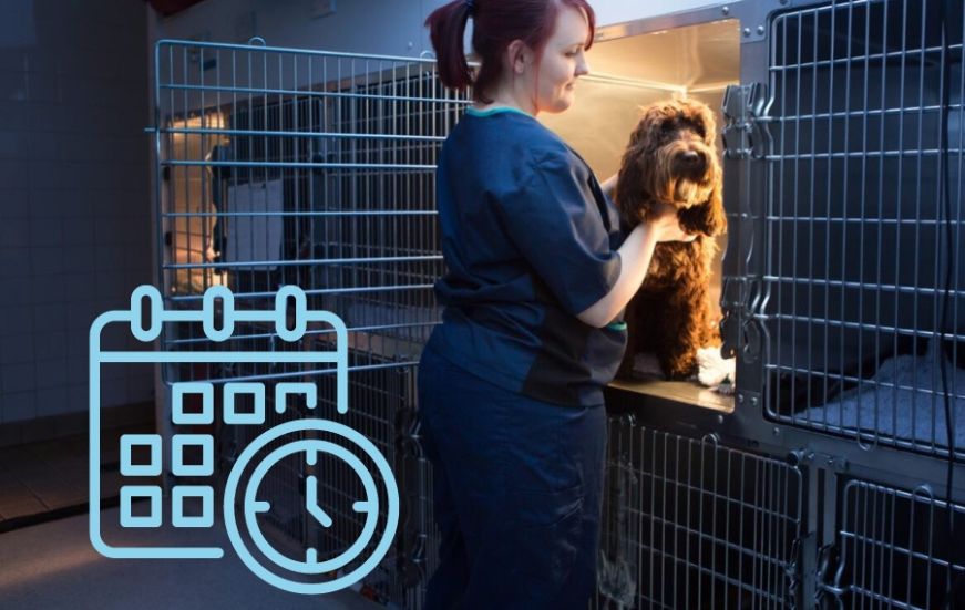A veterinarian in a Vets Now uniform caring for a dog in a kennel, with an overlay of a calendar and clock icon.