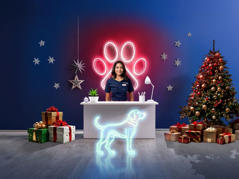 Vets Now Professional Christmas A Vets Now receptionist at a festive desk, surrounded by Christmas decorations, gifts, and a neon paw light display.