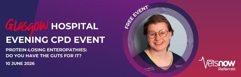 Promotional banner for Vets Now CPD event