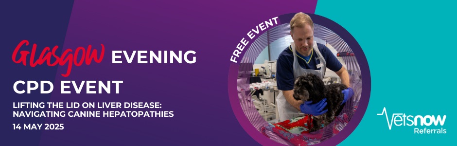 Vet examining a dog at the free CPD event on canine hepatopathies hosted by Vets Now in Glasgow, 14 May 2025