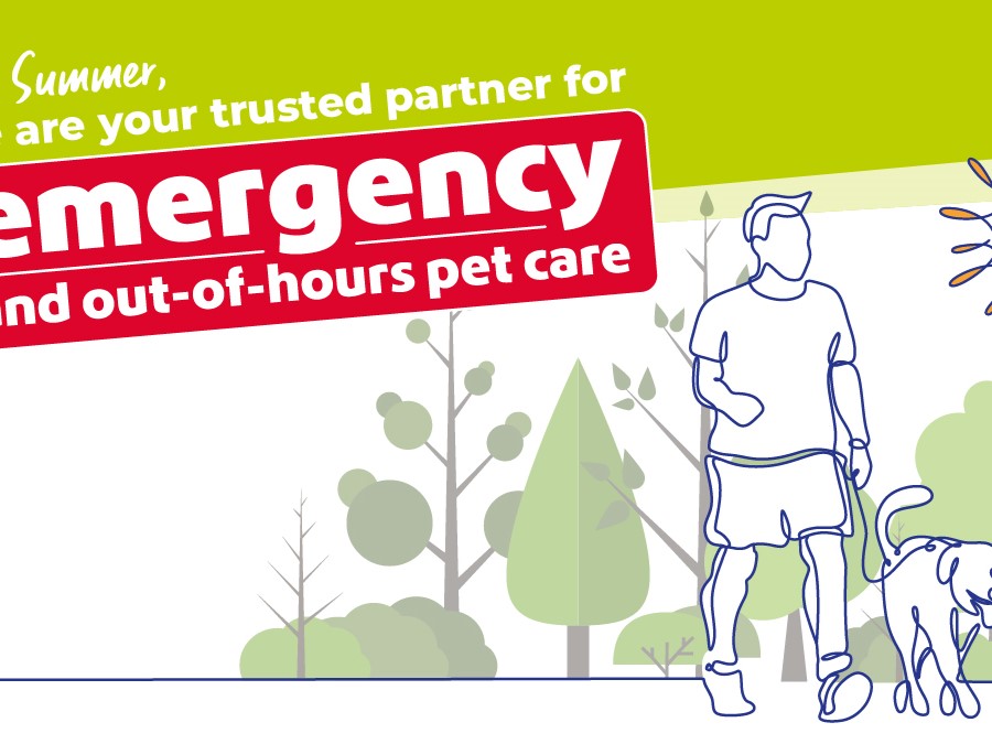 summer-emergency-pet-care-vets-now_banner Illustrated summer-themed banner with text
