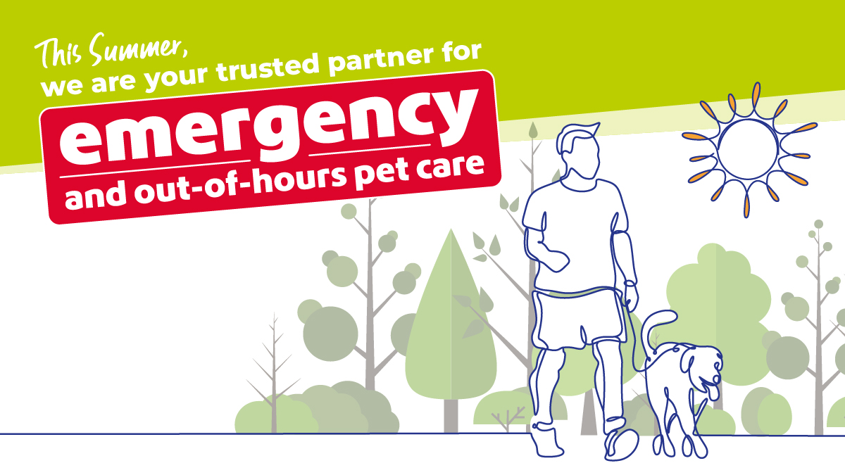 summer-emergency-pet-care-vets-now-banner Illustrated summer-themed banner with text