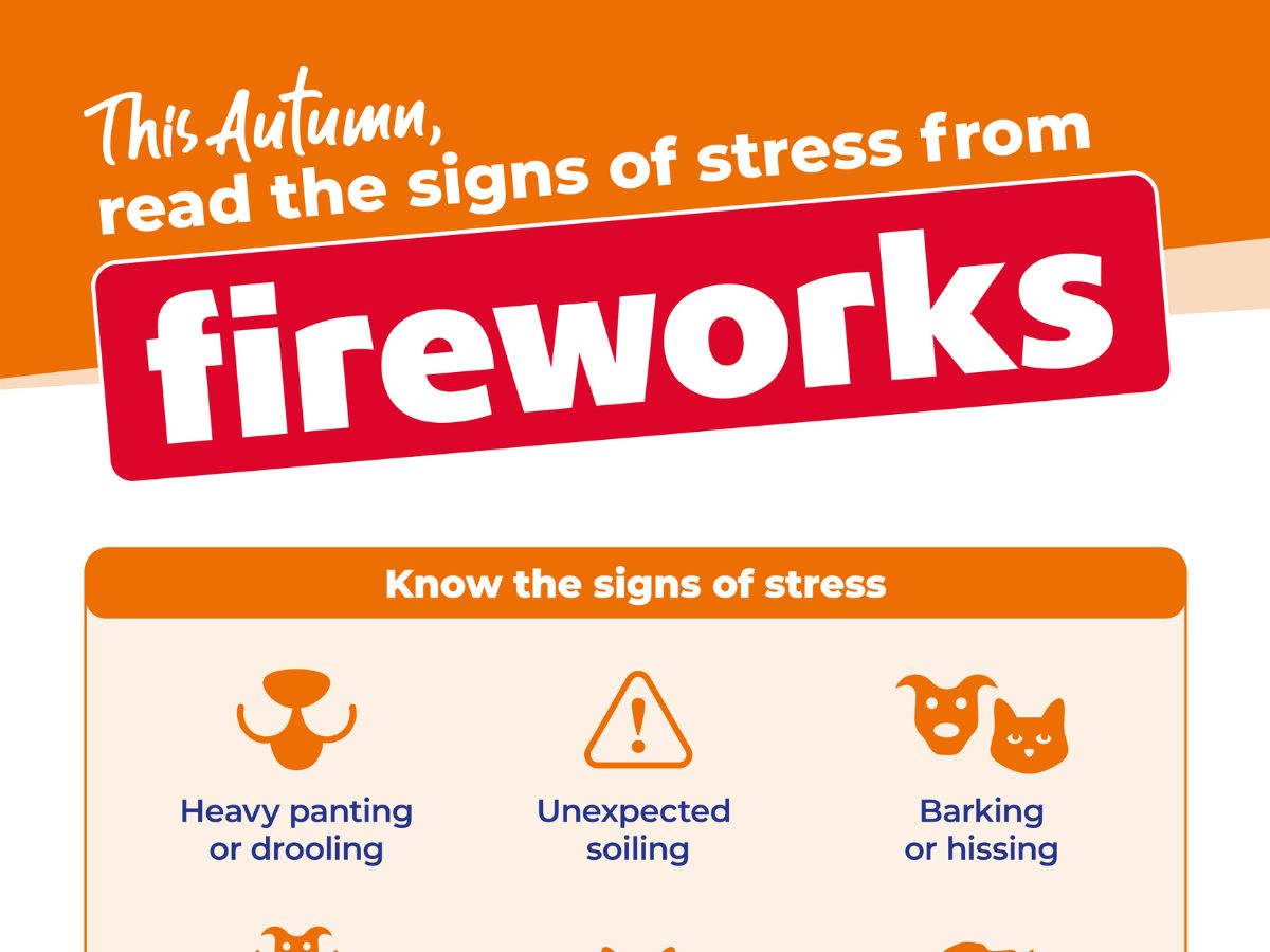 autumn_fireworks_preview Informational graphic titled