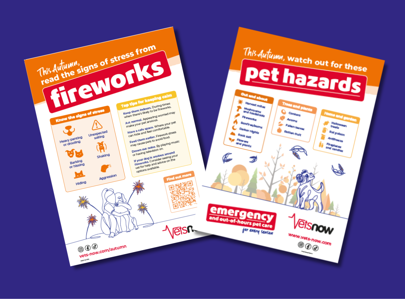 vets_now_connect_august_preview Two autumn pet safety posters from Vets Now covering fireworks stress and seasonal hazards.